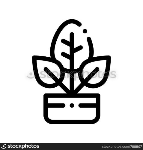 Bush Plant Leaves In Pot Vector Thin Line Icon. Organic Cosmetic, Domestic Nature Component Plant Leaf Linear Pictogram. Eco-friendly, Cruelty-free Product, Molecular Analysis Contour Illustration. Bush Plant Leaves In Pot Vector Thin Line Icon