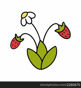 Bush with strawberry berry. Strawberries on twig. A doodle style plant.