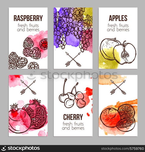 Business cards set with fresh watercolor fruits and berries isolated vector illustration. Cards With Fruits