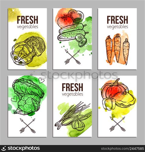 Business cards with fresh hand drawn vegetables set isolated vector illustration. Cards With Vegetables
