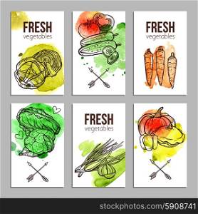 Business cards with fresh hand drawn vegetables set isolated vector illustration. Cards With Vegetables