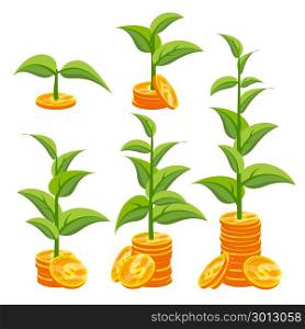Business Growth Concept Vector. Creativity Investment Growth. Gold Coins And Plant. Corporate Social Responsibility Tree. Success Project. Isolated Flat Cartoon Illustration. Startup Growth Concept Vector. Plant Growing In Savings Coins. Success Company. Isolated Flat Cartoon Illustration