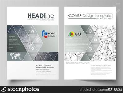 Business templates for brochure, flyer, report. Cover design template, vector layout in A4 size. Chemistry pattern, molecular texture, polygonal molecule structure, cell. Medicine microbiology concept. Business templates for brochure, magazine, flyer, booklet or annual report. Cover design template, easy editable vector, abstract flat layout in A4 size. Chemistry pattern, molecular texture, polygonal molecule structure, cell. Medicine, science, microbiology concept.