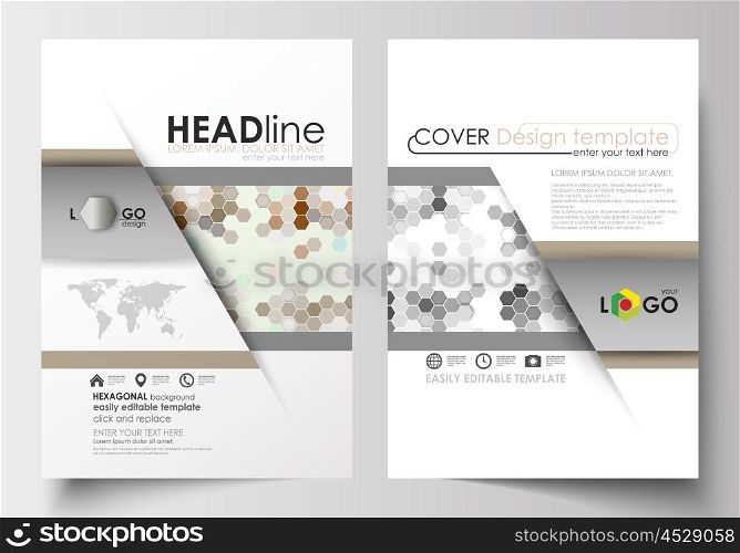 Business templates for brochure, magazine, flyer, booklet or annual report. Cover design template, easy editable blank, abstract flat layout in A4 size. Abstract gray color business background, modern stylish hexagonal vector texture.