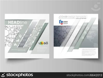 Business templates for square design brochure, magazine, flyer, booklet or annual report. Leaflet cover, abstract flat layout, easy editable vector. Chemistry pattern, molecular texture, polygonal molecule structure, cell. Medicine, science, microbiology concept. Business templates for square design brochure, flyer. Leaflet cover, vector layout. Chemistry pattern, molecular texture, polygonal molecule structure, cell. Medicine, science or microbiology concept.