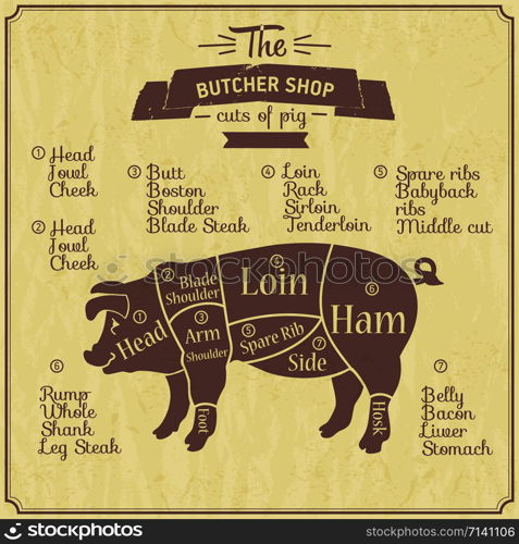 Butcher shop illustration of pork. Farm vintage background.. Butcher shop illustration of pork. Farm vintage background. Scheme of part meet