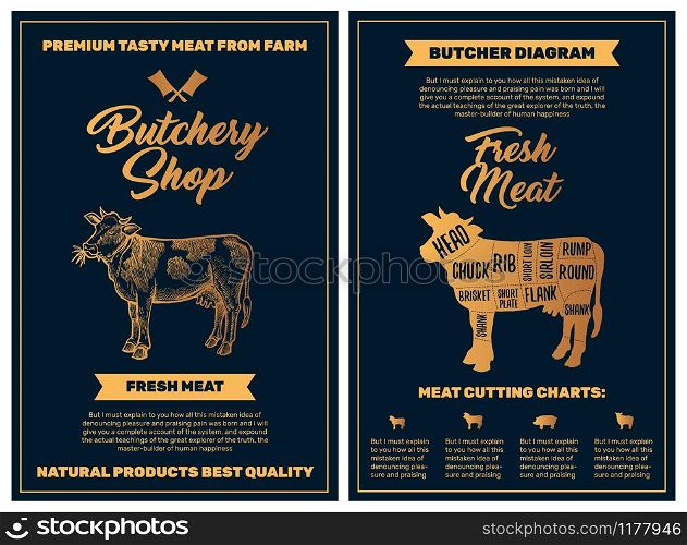 Butchery Shop Poster with Cow Meat Cutting Charts in Golden Colors on Black Blackground. Vector Vertical Print Templates. Sketch Hand-drawn Farm Animal Illustration. Butchers Guide Diagram Design. Butchery Shop Poster with Cow Meat Cutting Charts in Golden Colors. Butchers Guide Diagram Design