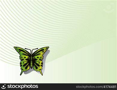 buttefly