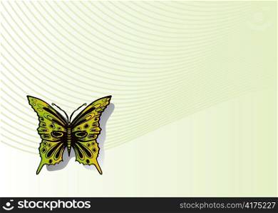 buttefly