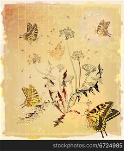 butterflies and dandelion