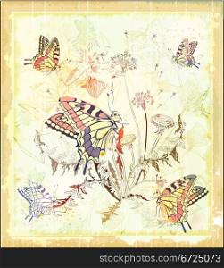 butterflies and dandelion