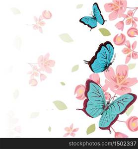 Butterflies Flower Floral Summer Spring Frame Background