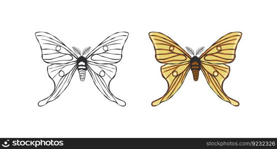 Butterflies icons. Exotic butterflies. Hand drawn butterfly contours. Vector scalable graphics