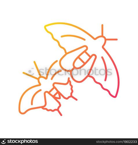 Butterflies of Singapore gradient linear vector icon. National insects. Asian butterfly species. Nature park. Thin line color symbol. Modern style pictogram. Vector isolated outline drawing. Butterflies of Singapore gradient linear vector icon