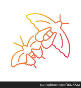 Butterflies of Singapore gradient linear vector icon. National insects. Asian butterfly species. Nature park. Thin line color symbol. Modern style pictogram. Vector isolated outline drawing. Butterflies of Singapore gradient linear vector icon