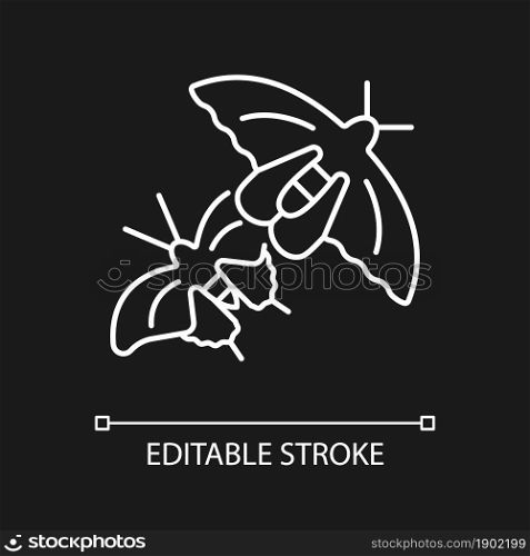 Butterflies of Singapore white linear icon for dark theme. National insect. Asian butterfly species. Thin line customizable illustration. Isolated vector contour symbol for night mode. Editable stroke. Butterflies of Singapore white linear icon for dark theme