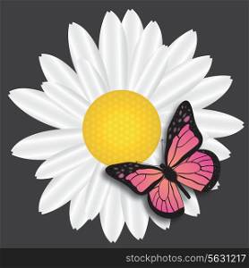 Butterflu on Daisy on blue background. vector illustration