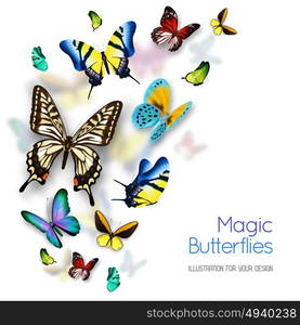 Butterfly Background. Small and big colorful magic butterflies isolated on white background with shadows flat vector illustration