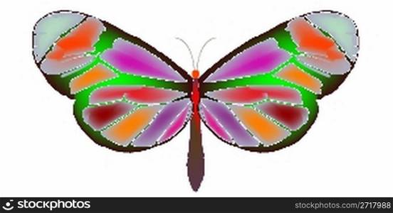 butterfly cartoon, vector art illustration
