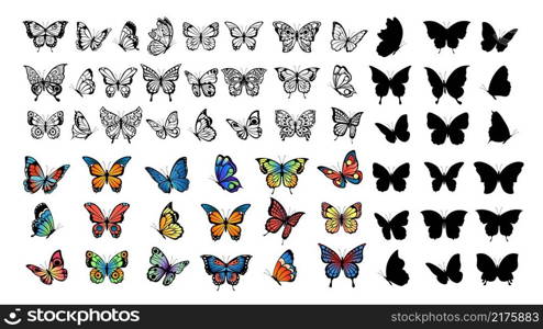 Butterfly collection. Drawing butterflies, silhouette and color flying insects. Spring animals, wild meadow or forest vector set. Butterfly silhouette insect, collection colored and black illustration. Butterfly collection. Drawing butterflies, silhouette and color flying insects. Spring animals, wild meadow or forest characters vector set