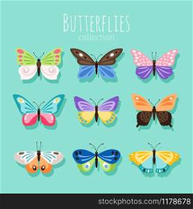 Butterfly collection illustration. Spring butterflies isolated on white background with colored wings vector illustration. Butterfly collection illustration. Spring butterflies isolated on white background with colored wings