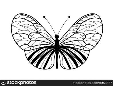 Butterfly coloring book. Linear drawing of a butterfly.. Butterfly coloring book. Linear drawing of a butterfly
