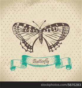 Butterfly. Hand drawn illustration