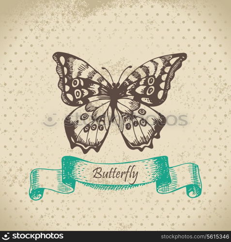 Butterfly. Hand drawn illustration