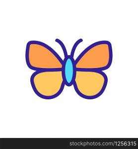 Butterfly icon vector. Thin line sign. Isolated contour symbol illustration. Butterfly icon vector. Isolated contour symbol illustration