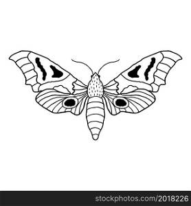 Butterfly in doodle style isolated on white background.