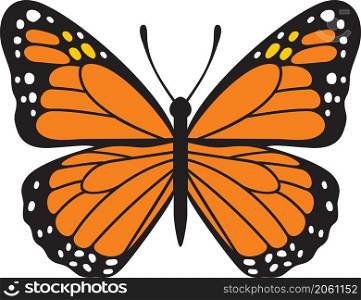 Butterfly insect color vector illustration