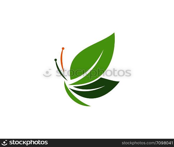 Butterfly leaf Logo Template Vector icon design