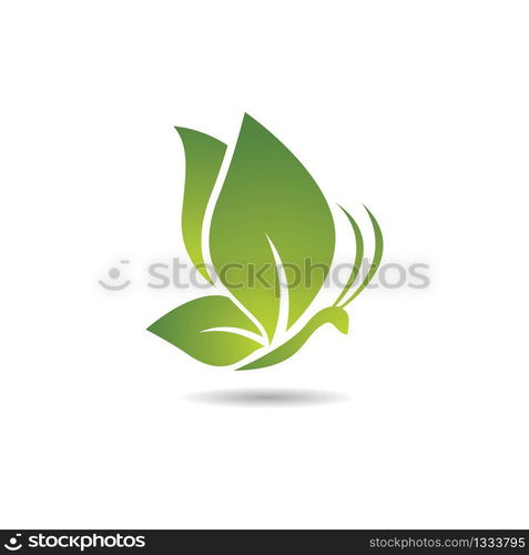 Butterfly logo vector icon illustration design