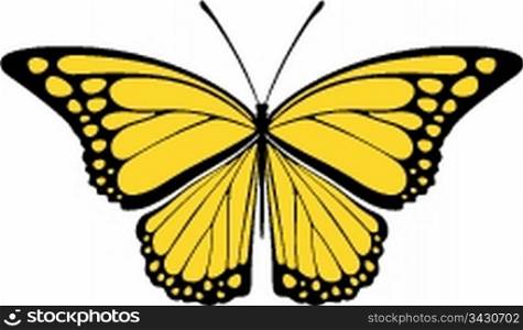butterfly monarch vector