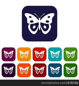Butterfly pierid icons set vector illustration in flat style in colors red, blue, green, and other. Butterfly pierid icons set