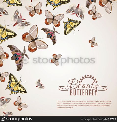 Butterfly Realistic Background . Beautiful butterfly decorative background with different moths and machaons vector illustration
