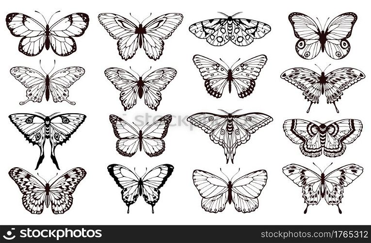 Butterfly silhouettes. Black outline butterflies tattoo graphic, tropical cute insects. Metamorphosis and spring symbols isolated vector set for wedding card design. Various forms of moths. Butterfly silhouettes. Black outline butterflies tattoo graphic, tropical cute insects. Metamorphosis and spring symbols isolated vector set