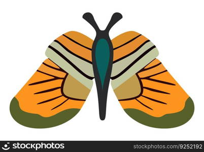 Butterfly simple icon. Vector Illustration EPS10. Butterfly simple icon on white. Vector Illustration. EPS10