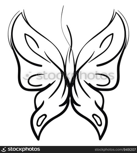 Butterfly sketch