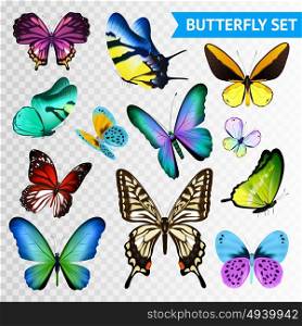 Butterfly Transparent Set. Small and big multicolored butterflies set isolated on transparent background flat vector illustration