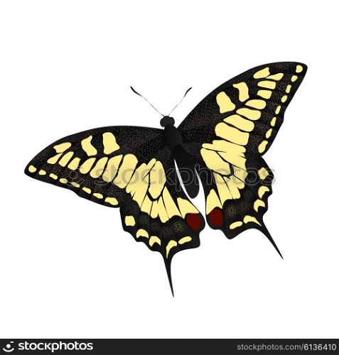 Butterfly Vector Illustration EPS10. Butterfly Vector Illustration