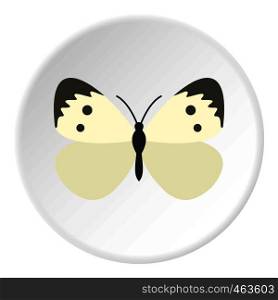 Butterfly with pattern on wings icon in flat circle isolated vector illustration for web. Butterfly with pattern on wings icon circle
