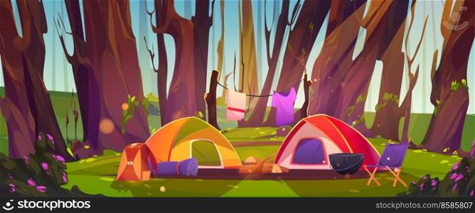 C&ing tents with c&fire and tourist stuff at forest field. Traveler halt with chair, drying clothes, logs and rucksack on nature landscape with trees. Summer travel cartoon vector illustration. C&ing tents with c&fire and tourist stuff