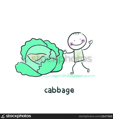 Cabbage and people