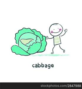 Cabbage and people