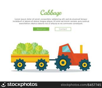 Cabbage farm conceptual banner. Flat design. Delivering fresh vegetables from farm to market. Tractor with trailer carries cabbage. Template for farmers, shops, transports company web pages. . Cabbage Farm Web Vector Banner in Flat Design.