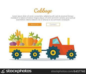 Cabbage farm conceptual banner. Flat design. Delivering fresh vegetables from farm to market. Tractor with trailer carries vegetables. Template for farmers, shops, transports company web pages. . Cabbage Farm Web Vector Banner in Flat Design.