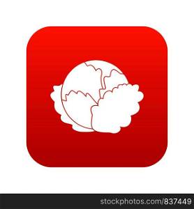 Cabbage icon digital red for any design isolated on white vector illustration. Cabbage icon digital red