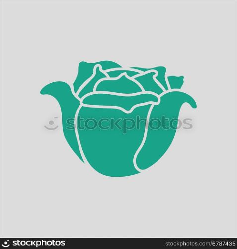 Cabbage icon. Gray background with green. Vector illustration.