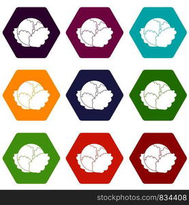 Cabbage icon set many color hexahedron isolated on white vector illustration. Cabbage icon set color hexahedron